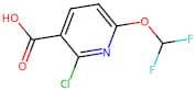 2-Chloro-6-(difluoromethoxy)nicotinic acid