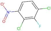 2,4-Dichloro-3-fluoronitrobenzene