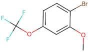 2-Methoxy-4-(trifluoromethoxy)bromobenzene