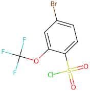 4-Bromo-2-(trifluoromethoxy)benzenesulphonyl chloride