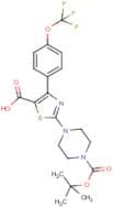 4-[4-(trifluoromethoxy)phenyl]-2-(piperazin-1-yl-N-BOC protected)-1,3-thiazole-5-carboxylic acid
