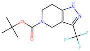 4,5,6,7-Tetrahydro-3-(trifluoromethyl)-1H-pyrazolo[4,3-c]pyridine,  N5-BOC protected