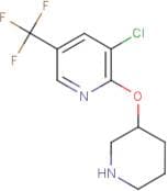 3-Chloro-2-(piperidin-3-yloxy)-5-(trifluoromethyl)pyridine
