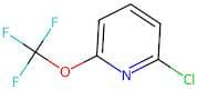 2-Chloro-6-(trifluoromethoxy)pyridine