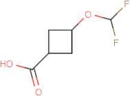 3-(Difluoromethoxy)cyclobutane-1-carboxylic acid