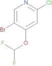 5-Bromo-2-chloro-4-(difluoromethoxy)pyridine