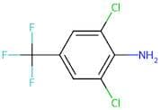 4-Amino-3,5-dichlorobenzotrifluoride