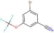 3-Bromo-5-(trifluoromethoxy)benzonitrile