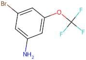 3-Bromo-5-(trifluoromethoxy)aniline