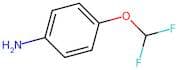 4-(Difluoromethoxy)aniline