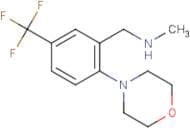 N-Methyl-N-[2-morpholin-4-yl-5-(trifluoromethyl)benzyl]amine