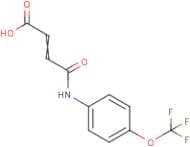 4-Oxo-4-{[4-(trifluoromethoxy)phenyl]amino}but-2-enoic acid