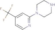 1-[4-(Trifluoromethyl)pyridin-2-yl]piperazine