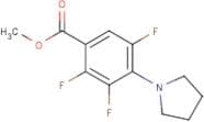 Methyl 2,3,5-trifluoro-4-pyrrolidin-1-ylbenzoate