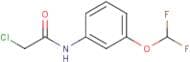 2-Chloro-N-[3-(difluoromethoxy)phenyl]acetamide
