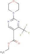 Ethyl 2-morpholin-4-yl-4-(trifluoromethyl)pyrimidine-5-carboxylate