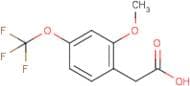 2-Methoxy-4-(trifluoromethoxy)phenylacetic acid