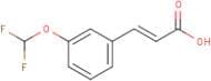3-(Difluoromethoxy)cinnamic acid