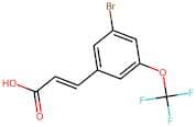3-Bromo-5-(trifluoromethoxy)cinnamic acid