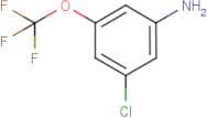 3-Chloro-5-(trifluoromethoxy)aniline