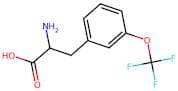 3-(Trifluoromethoxy)-DL-phenylalanine