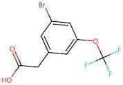 3-Bromo-5-(trifluoromethoxy)phenylacetic acid