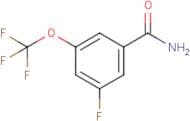 3-Fluoro-5-(trifluoromethoxy)benzamide