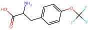 4-(Trifluoromethoxy)-DL-phenylalanine