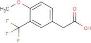 4-Methoxy-3-(trifluoromethyl)phenylacetic acid