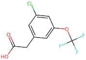 3-Chloro-5-(trifluoromethoxy)phenylacetic acid