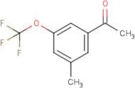 3'-Methyl-5'-(trifluoromethoxy)acetophenone