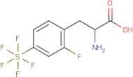 2-Fluoro-4-(pentafluorosulfur)-DL-phenylalanine