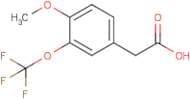 4-Methoxy-3-(trifluoromethoxy)phenylacetic acid