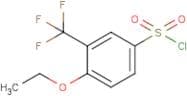4-Ethoxy-3-(trifluoromethyl)benzenesulfonyl chloride