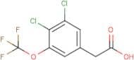 3,4-Dichloro-5-(trifluoromethoxy)phenylacetic acid