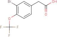 3-Bromo-4-(trifluoromethoxy)phenylacetic acid