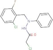 N'1-(2-chloro-6-fluorobenzyl)-N'1-phenyl-2-chloroethanohydrazide