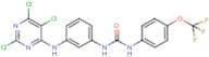 N-{3-[(2,5,6-trichloropyrimidin-4-yl)amino]phenyl}-N'-[4-(trifluoromethoxy)phenyl]urea