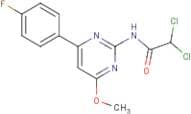 N1-[4-(4-fluorophenyl)-6-methoxypyrimidin-2-yl]-2,2-dichloroacetamide