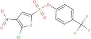 4-(trifluoromethyl)phenyl 5-chloro-4-nitrothiophene-2-sulphonate