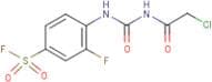 4-({[(2-chloroacetyl)amino]carbonyl}amino)-3-fluorobenzenesulphonyl fluoride