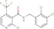2-chloro-N-(2,3-dichlorobenzyl)-4-(trifluoromethyl)nicotinamide