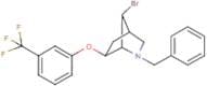 2-benzyl-7-bromo-6-[3-(trifluoromethyl)phenoxy]-2-azabicyclo[2.2.1]heptane