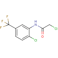 N1-[2-Chloro-5-(trifluoromethyl)phenyl]-2-chloroacetamide