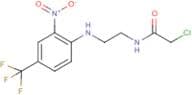 2-chloro-N-{2-[2-nitro-4-(trifluoromethyl)anilino]ethyl}acetamide