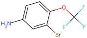 3-Bromo-4-(trifluoromethoxy)aniline