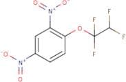 2,4-dinitro-1-(1,1,2,2-tetrafluoroethoxy)benzene