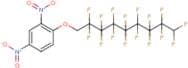 9-(2,4-dinitrophenoxy)-1,1,2,2,3,3,4,4,5,5,6,6,7,7,8,8-hexadecafluorononane