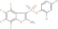 2,4-dichlorophenyl 4,5,6,7-tetrafluoro-2-methylbenzo[b]furan-3-sulphonate