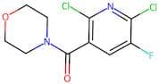 4-[(2,6-Dichloro-5-fluoropyridin-3-yl)carbonyl]morpholine